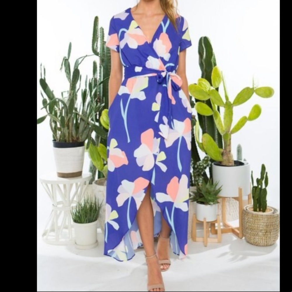 Crosby by Mollie Burch Fiore Dress